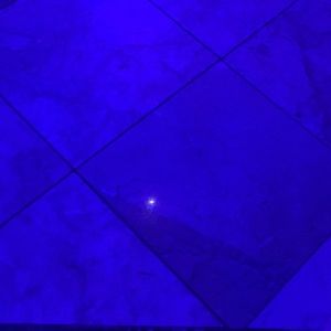 Meet your Posher, Johnny